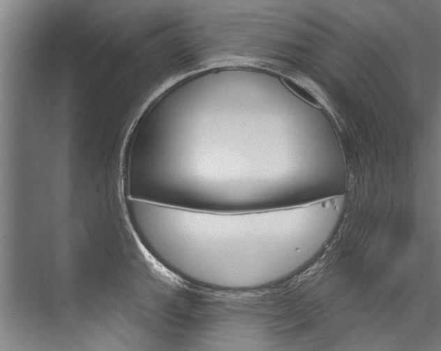 X0000076441143200610061018
