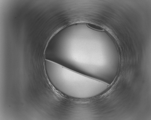 X0000076441145200610061018