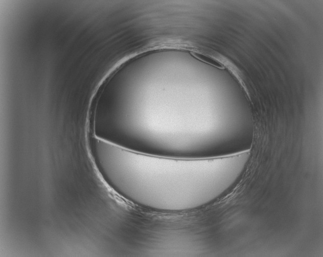 X0000076441147200610061018