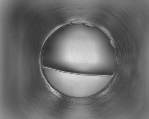 X0000076441149200610061018