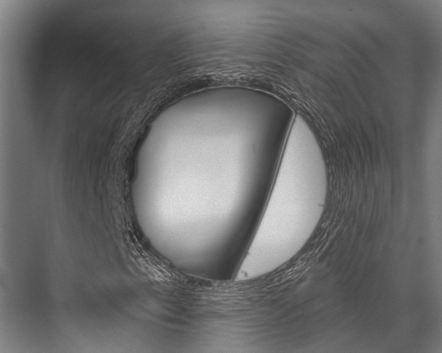 X0000076441153200610061018