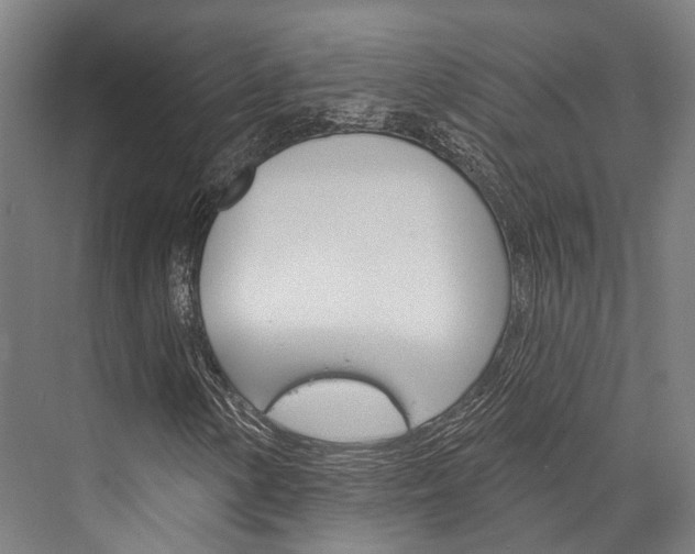X0000076441154200610061018