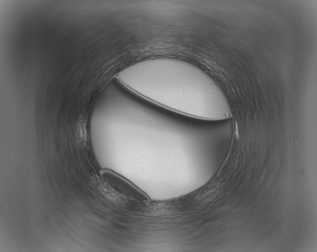 X0000076441155200610061018