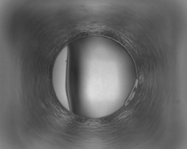 X0000076441156200610061018