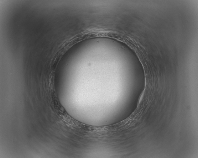 X0000076441157200610061018