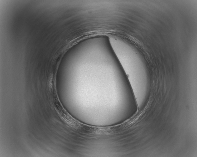 X0000076441161200610061018