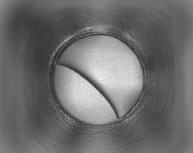 X0000076441166200610061018