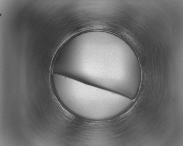 X0000076441178200610061017