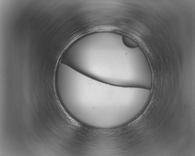 X0000076441186200610061017