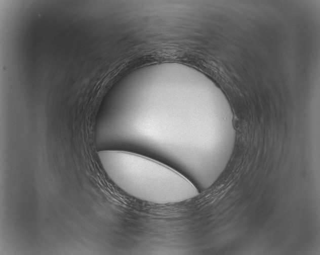 X0000076441201200610061016
