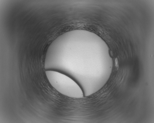 X0000076441203200610061016