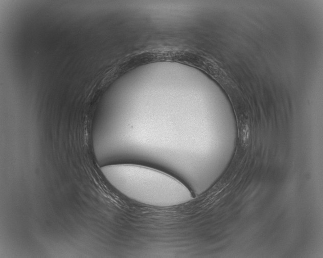 X0000076441204200610061016