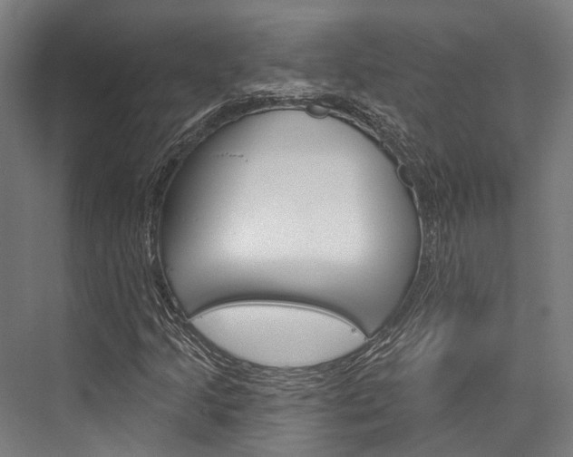 X0000076441205200610061016