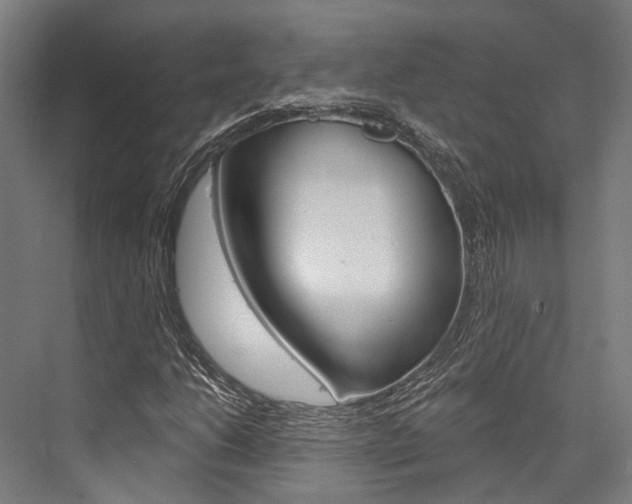 X0000076441206200610061016