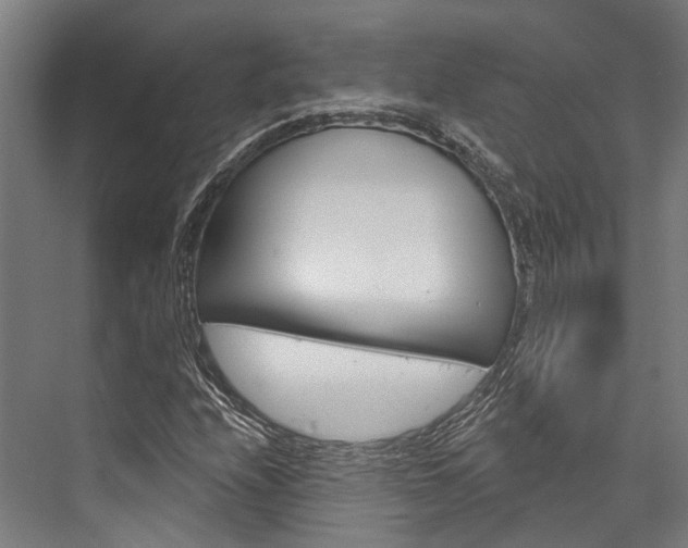 X0000076441208200610061016