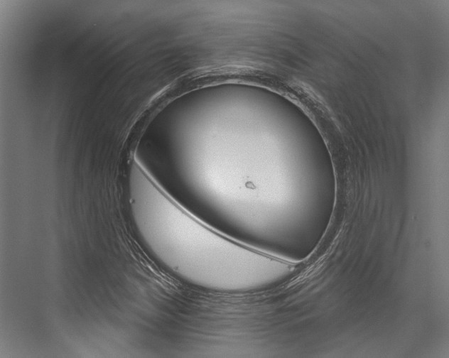 X0000076441210200610061016