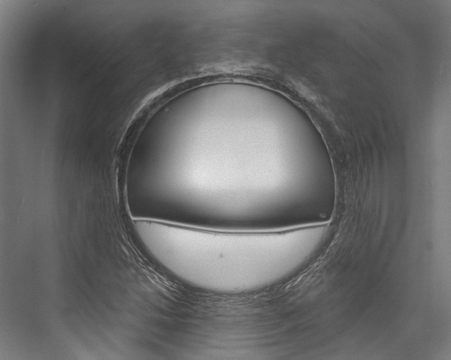 X0000076441214200610061016
