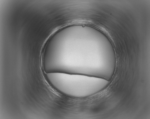 X0000076441227200610061017