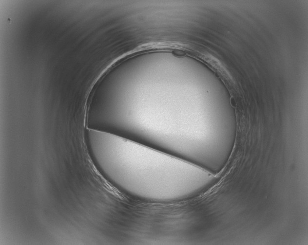 X0000076441228200610061017