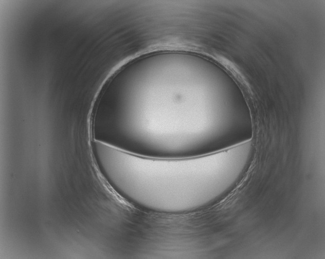 X0000076441238200610061017