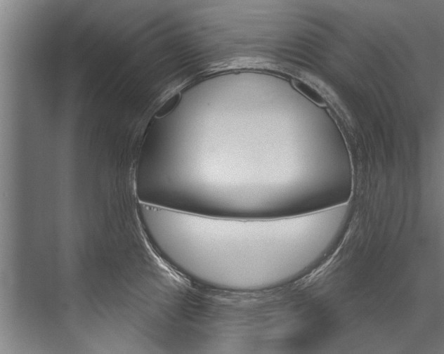X0000076441241200610061017