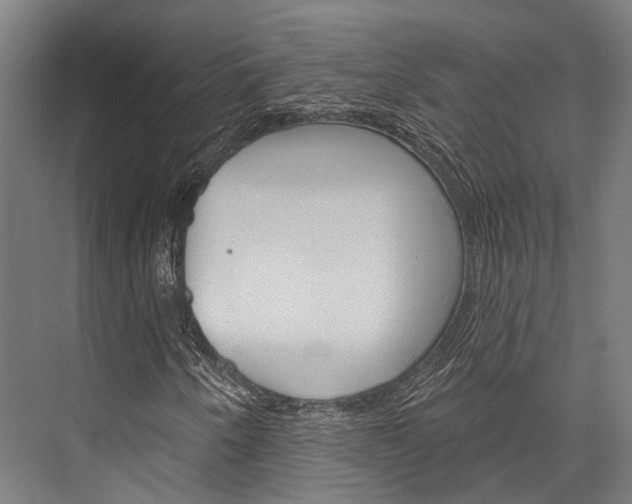 X0000076441250200610061016