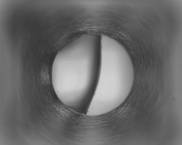 X0000076441252200610061016