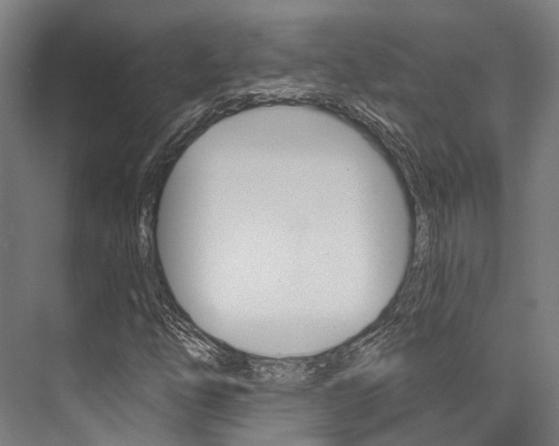 X0000076441254200610061016