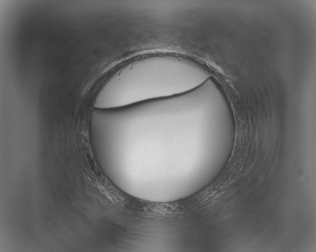 X0000076441255200610061016