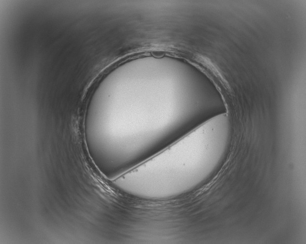 X0000076441260200610061016