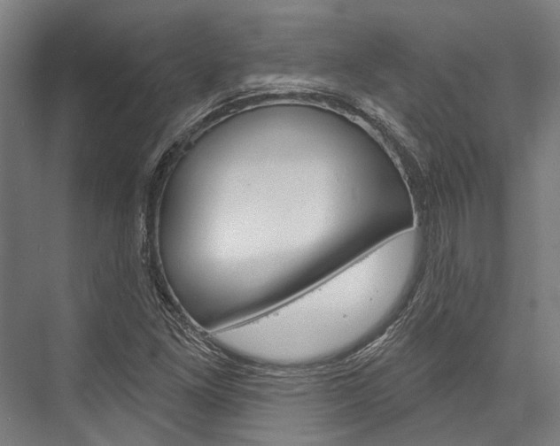 X0000076441261200610061016