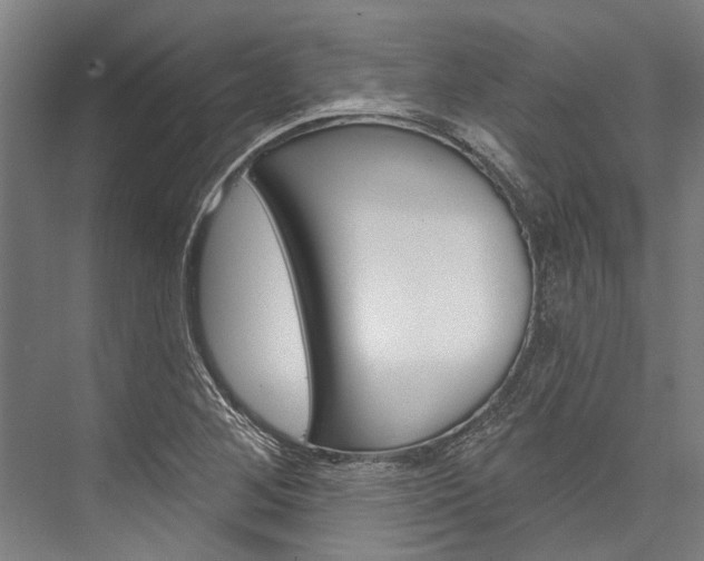 X0000076441268200610061016