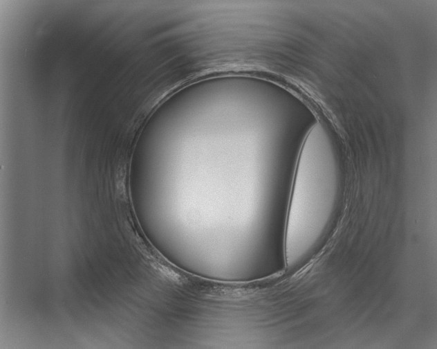 X0000076441273200610061016