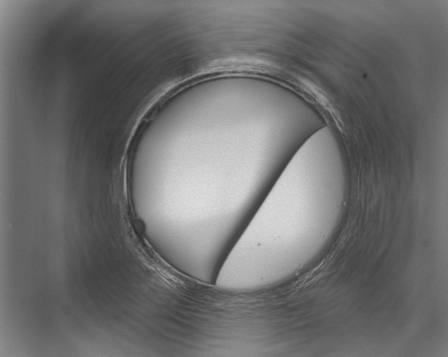 X0000076441275200610061016