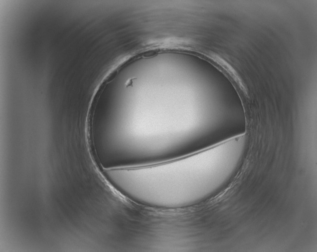 X0000076441285200610061016