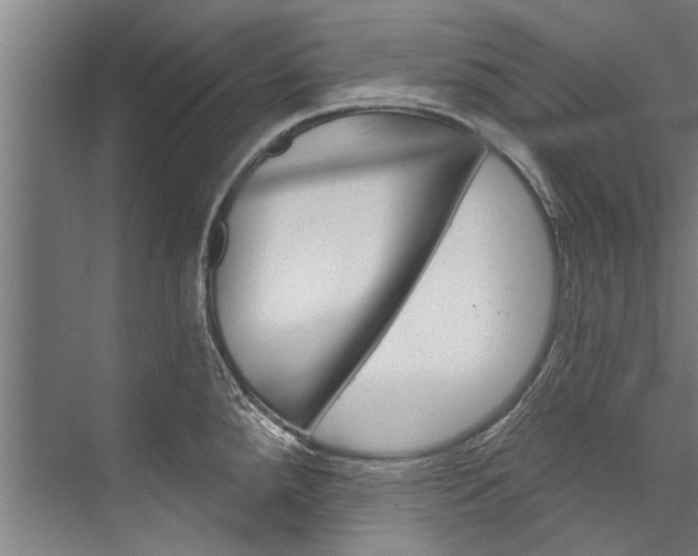 X0000076441288200610061015