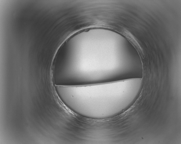 X0000076441292200610061015