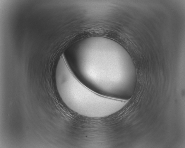 X0000076441297200610061015