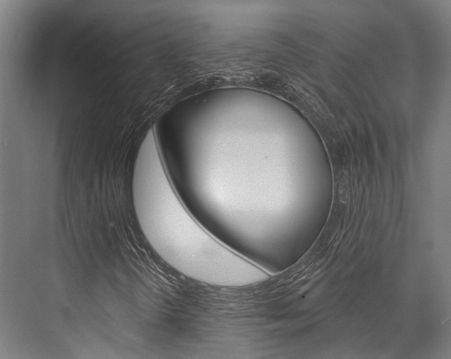 X0000076441298200610061015