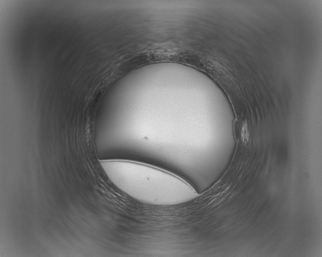 X0000076441299200610061015
