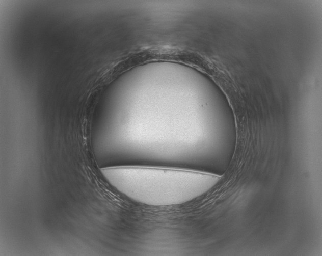 X0000076441301200610061015