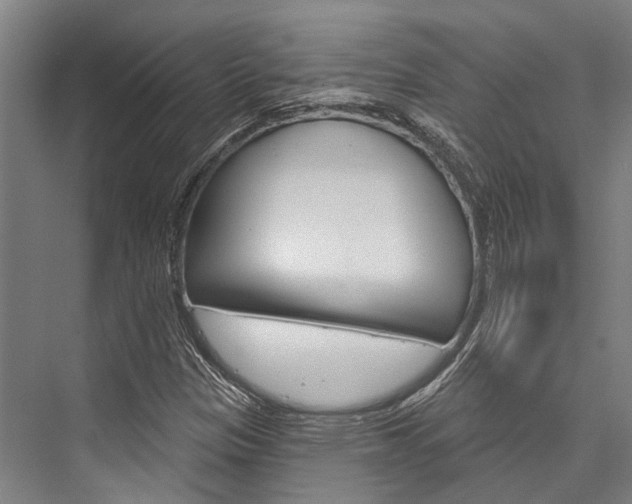 X0000076441305200610061015