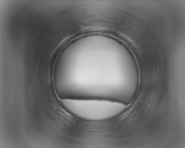 X0000076441306200610061015
