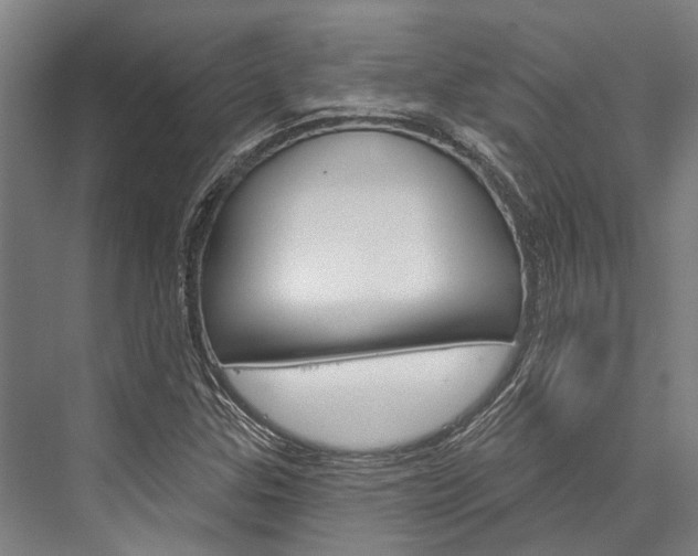 X0000076441307200610061015