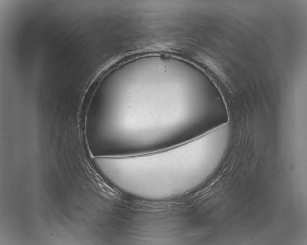 X0000076441308200610061015