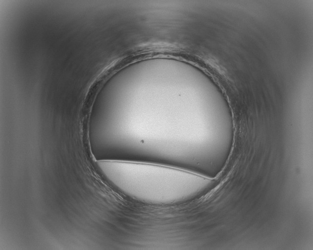 X0000076441309200610061015