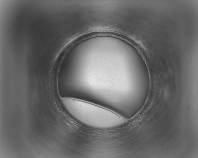 X0000076441311200610061015