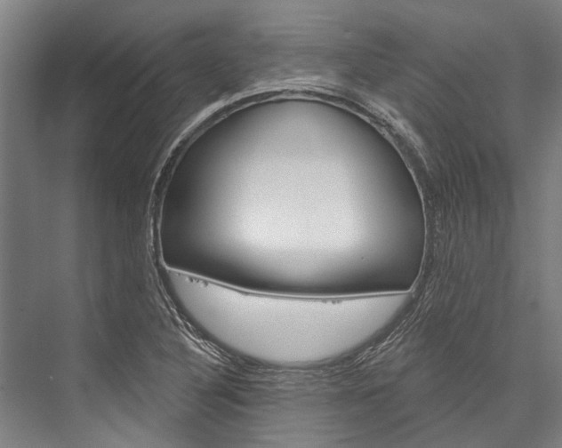 X0000076441316200610061015