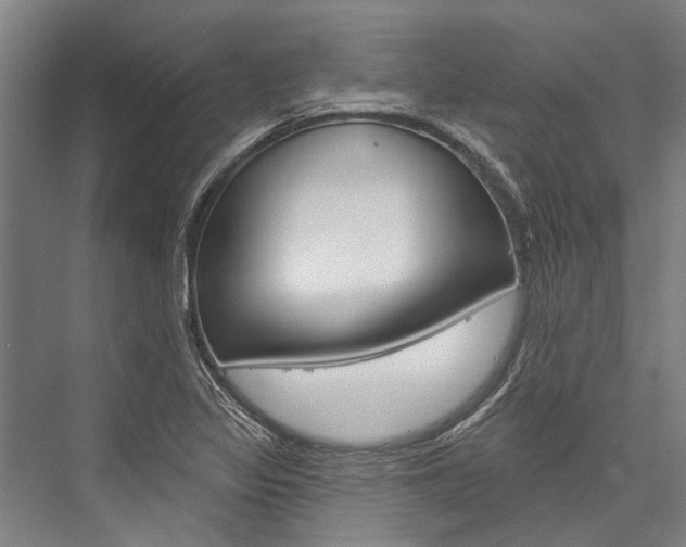 X0000076441317200610061015