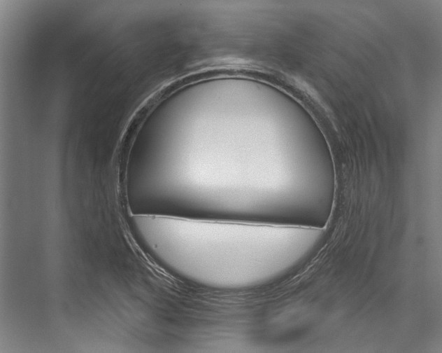 X0000076441318200610061015